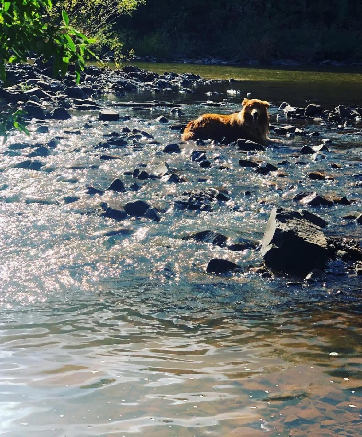 Sitio Das Pedras Ijuí Buitenkant foto